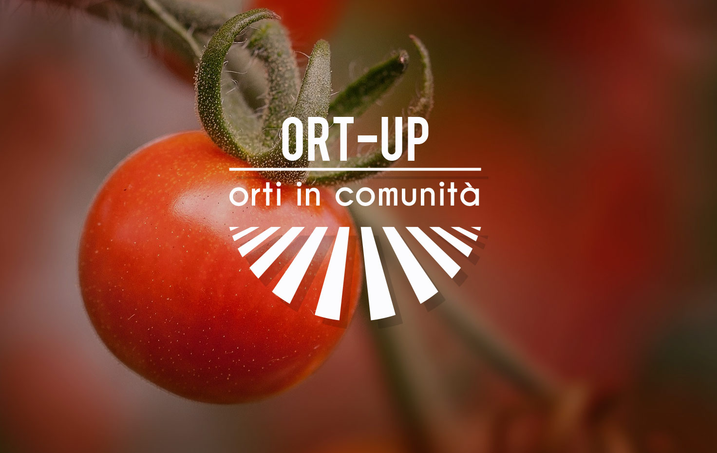 Ort up