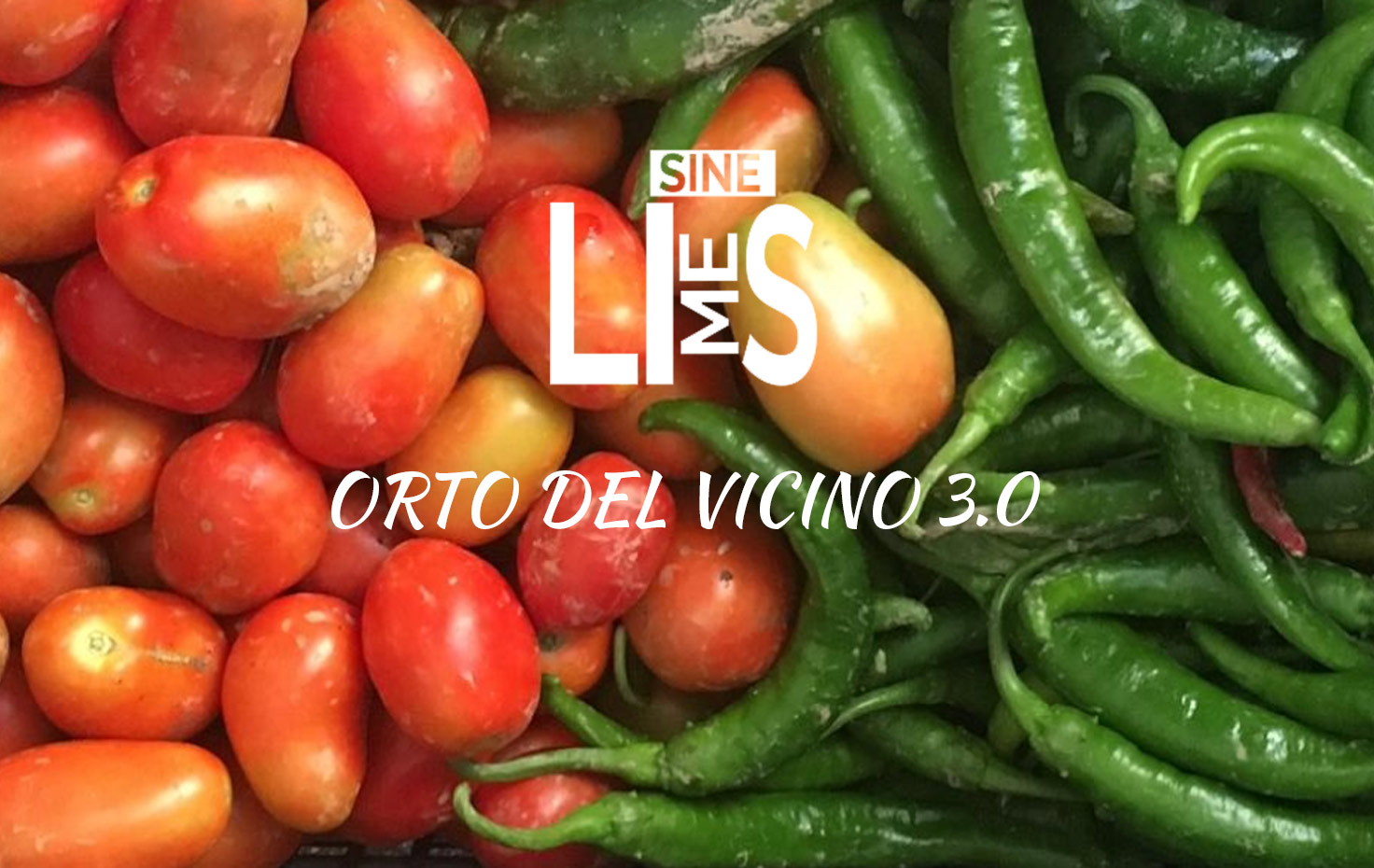 Orto del Vicino 3.0
