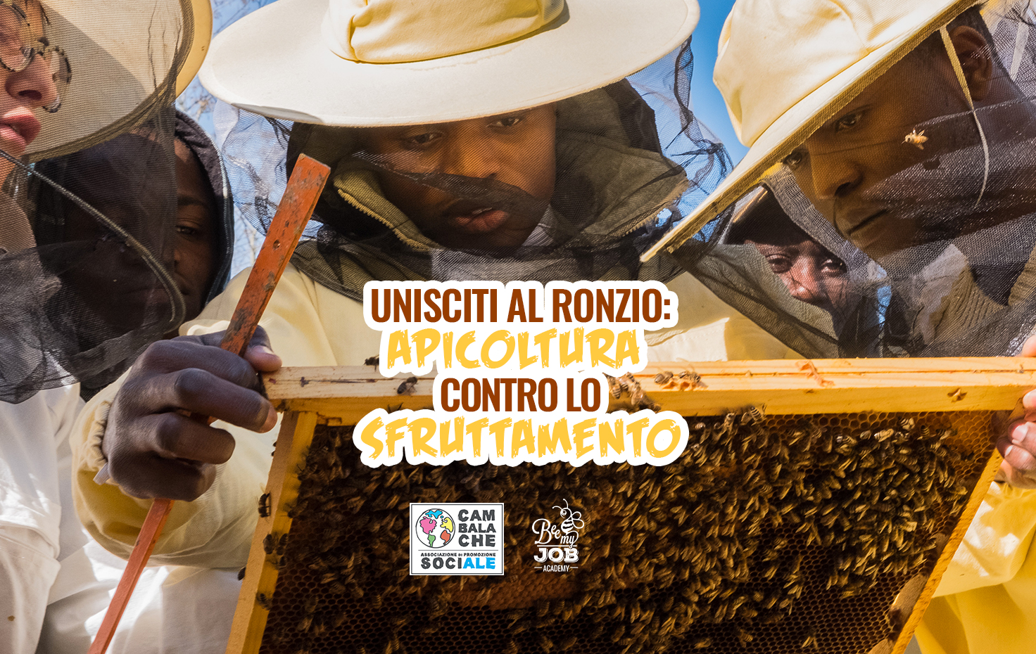 Unisciti al ronzio: apicoltura contro lo sfruttamento