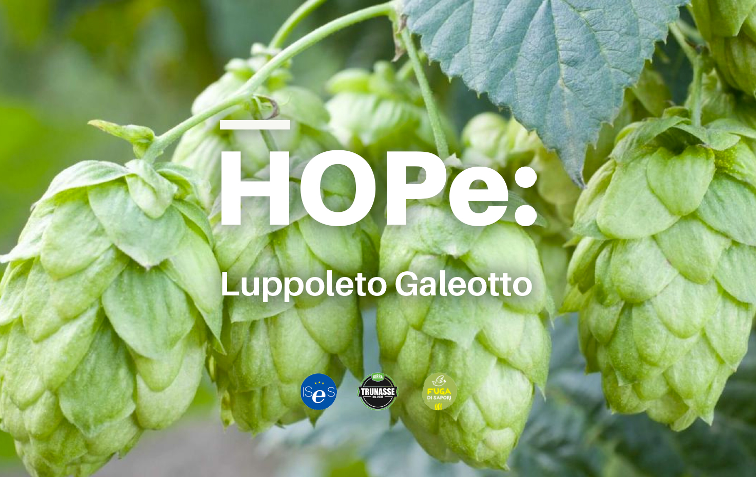 HOPe: il Luppoleto Galeotto