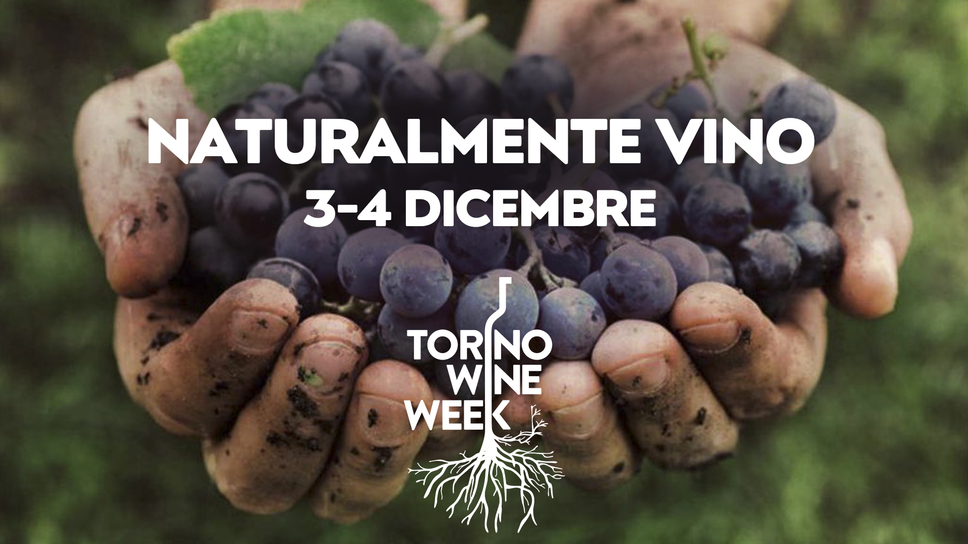 Naturalmente VINO – Torino Wine Week